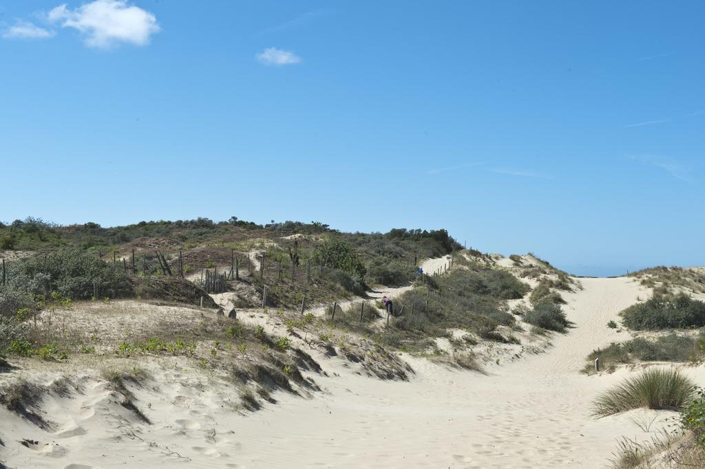 براي دون Evancy Etoile Des Dunes المظهر الخارجي الصورة